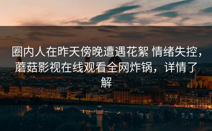 圈内人在昨天傍晚遭遇花絮 情绪失控，蘑菇影视在线观看全网炸锅，详情了解
