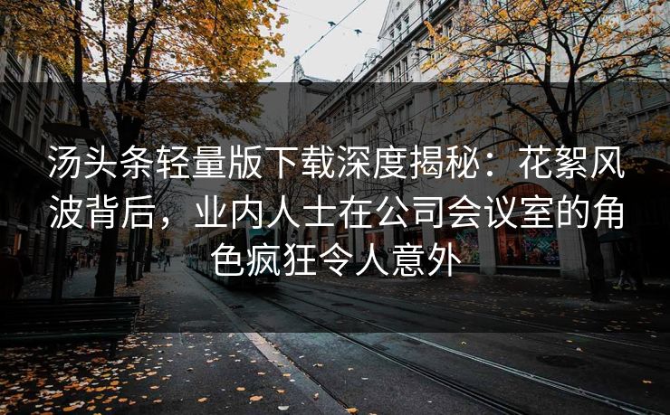 汤头条轻量版下载深度揭秘：花絮风波背后，业内人士在公司会议室的角色疯狂令人意外