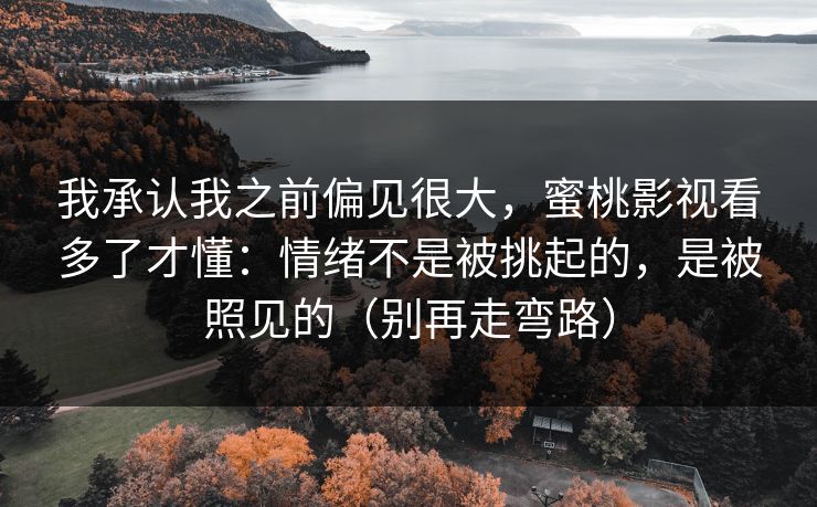我承认我之前偏见很大，蜜桃影视看多了才懂：情绪不是被挑起的，是被照见的（别再走弯路）